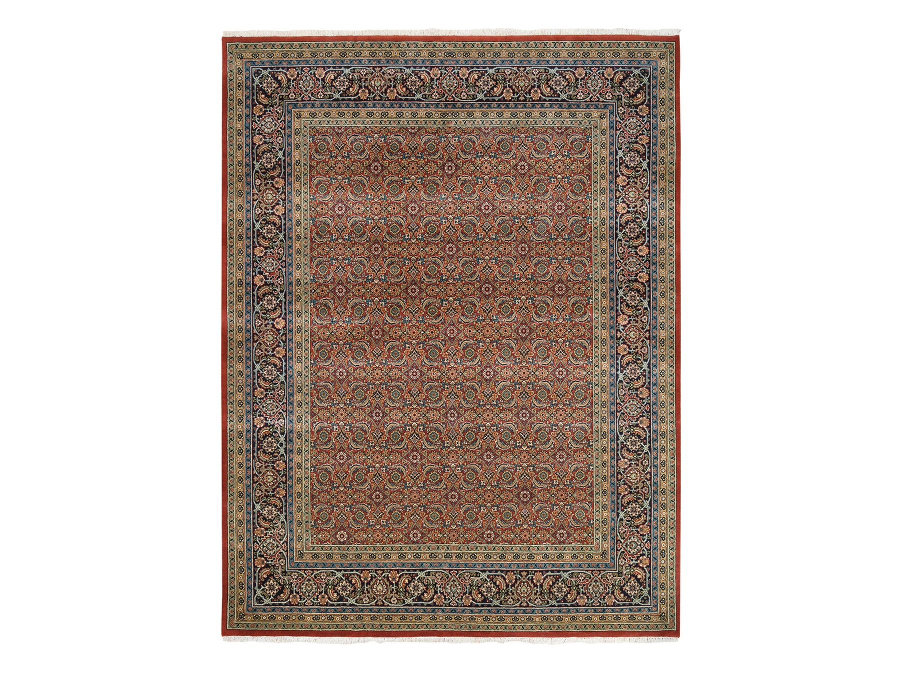 Traditional Rugs LUV566883